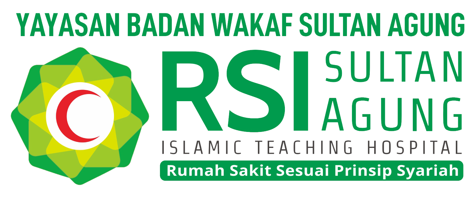 LOGO-RSISA-GROUP-copy